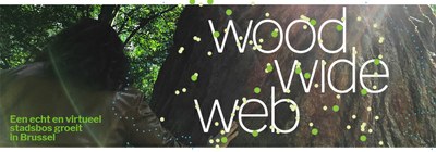 Wood Wide Web