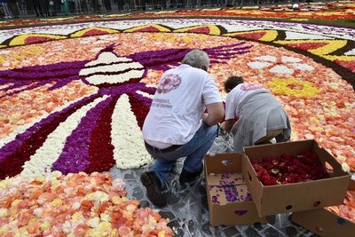 bloementapijt in aanleg