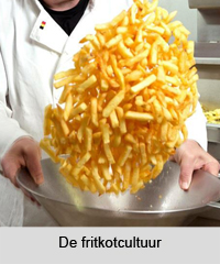 De fritkotcultuur