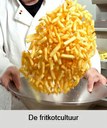 De fritkotcultuur