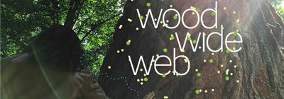 Wood Wide Web Wood Wide Web