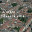 L'arbre dans la ville