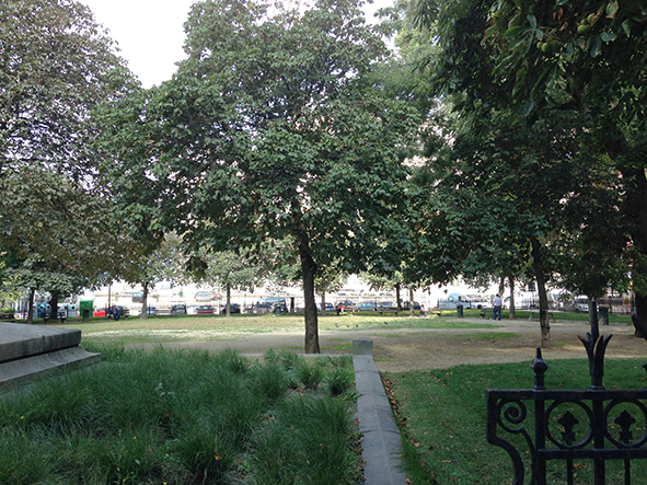 Le square avec ses arbres haute tiges